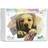 Pixelhobby Golden Retriever Hvalp