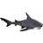 Legler Bull Shark