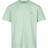 Carhartt Chase T-shirt - Pale Spearmint/Gold