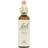Bach Larch 20ml