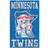 Fan Creations Minnesota Twins Heritage Distressed Logo Sign Board