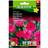 Hornum Kornblomst Red Lola