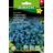 Hornum Forglemmigej Blue Ball