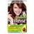 Garnier Nutrisse Crme Permanent Hair Colour 4.3 Cappuccino
