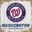 Fan Creations Washington Nationals Team Logo Block