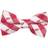 Eagles Wings Wings Bow Check Tie - Red