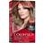 Revlon ColorSilk Beautiful Color #60 Dark Ash Blonde