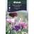 Weibulls Blåklint Mix Blomsterfrø