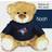 Chad & Jake Toronto Blue Jays Team Personalized Plush Bear