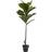 Nearly Natural Artificial Fiddle Leaf Tree 4ft