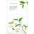 Nature Republic Real Nature Green Tea Sheet Mask