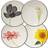 Noritake Colorwave Floral Dessert Plate 15.875cm 4pcs