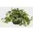 Nearly Natural Artificial H Green Pothos with Decorative Vase Decorative Item