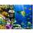 Arkiio Underwater Paradise