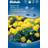 Weibulls Tagetes Låg Yellow Boy Blomsterfrø