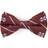 Eagles Wings Oxford Bow Tie - Mississippi State Bulldogs