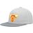 Mitchell & Ness Chicago Bulls Cool Snapback Hat - Grey