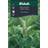 Weibulls Salvia Grøntsagsfrø
