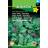 Hornum Asia Spicy Greens Mix Grøntsagsfrø