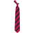 Eagles Wings Regiment Tie - St. Louis Cardinals