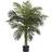 Nearly Natural 4ft. Golden Cane Palm Artificial Tree Artificial Plant