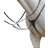 Shires Avignon Three Point Breastplate