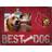 Fan Creations Louisville Cardinals Best Dog Clip Photo Frame