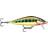 Rapala Countdown Elite 10g Gilded Vairon