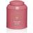 Colors of Tea Tea Caddy