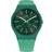 Swatch Sunbrush Grass (SO29G100)