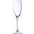 Chef & Sommelier Cabernet Champagne Glass 16cl 6pcs