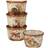 Certified International Pine Forest Dessert Bowl 14cm 4pcs 0.65L