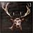 Nordic Furniture Hjortbild Billede 100x100cm