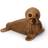 Spring Copenhagen Ross Walrus Brown Prydnadsfigur 11cm