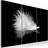Arkiio A small Feather 120x80 Tavla