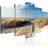 Arkiio Obevakat beach 5 st 100x50 Tavla