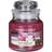 Yankee Candle Sweet Plum Sake Duftlys 104g
