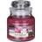 Yankee Candle Sweet Plum Sake Scented Candle 104g