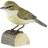 Wildlife Garden DecoBird Gransångare Prydnadsfigur 7.8cm