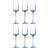 Chef & Sommelier Sublime Champagne Glass 21cl 6pcs