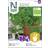 Nelson Garden Persille