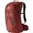 Gregory Citro 24 Backpack - Brick Red