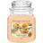 Yankee Candle Mango Ice Cream Medium Doftljus 623g