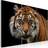 Arkiio A Wild Tiger Billede 60x40cm 3stk