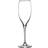 Riedel Gold Rim Vinum Cuvee Prestige Champagne Glass 2pcs