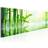 Arkiio Green Bamboo 150x50 Tavla