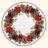 Dug Begonia