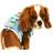 Petlife Pocket Bark Dog Harness w/ Velcro Pouch and Dual Harness Rings Small