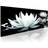 Arkiio Alabaster lilies 150x50 Tavla