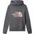 The North Face Kid's Drew Peak Hoodie - Vanadis Grey (NF0A558T1741)